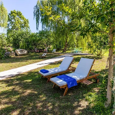3 Bedroom Pet Friendly In *
