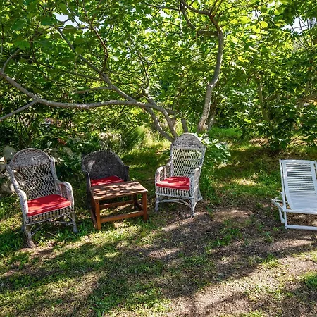 3 Bedroom Pet Friendly In Bacina